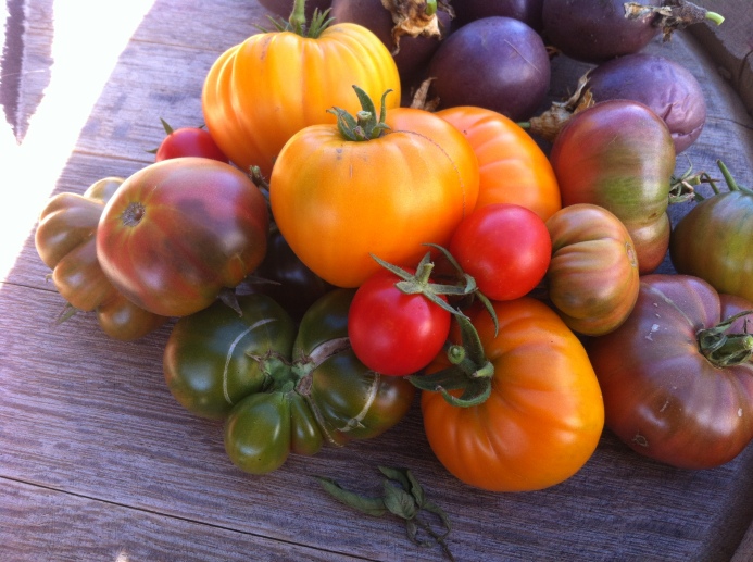 Homegrown tomatos